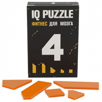 картинка Головоломка IQ Puzzle Figures от магазина PapriQ